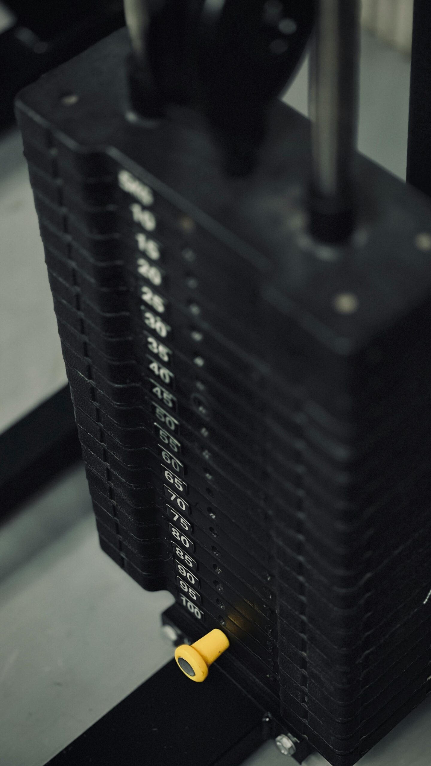 Strength Training Builds More Than Muscles | Health Benefits