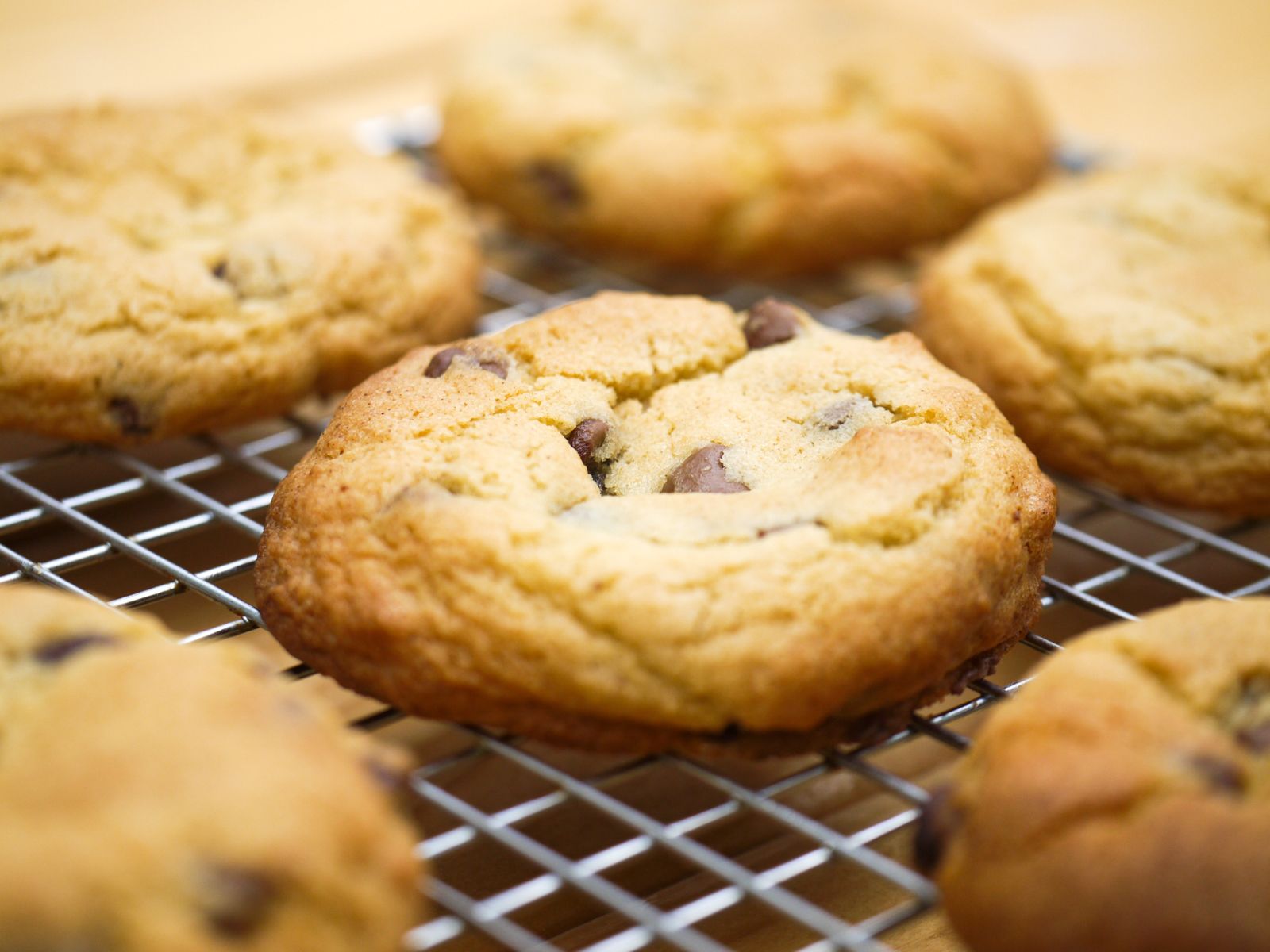 Vegan Chocolate Chip Cookie Recipe
